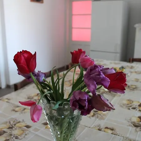 Casa de hóspedes Peregi Mezohegyes